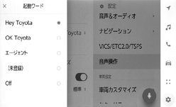 jpis02bt036a